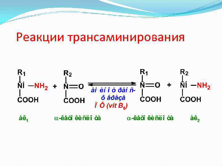 Реакции трансаминирования 