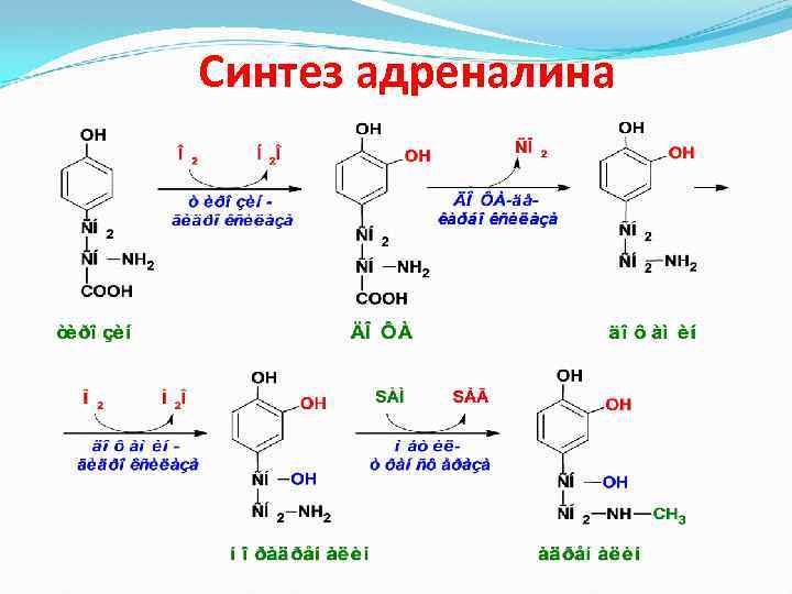 Синтез адреналина 
