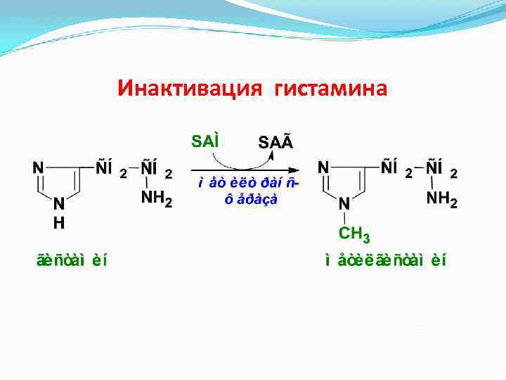 Инактивация гистамина 