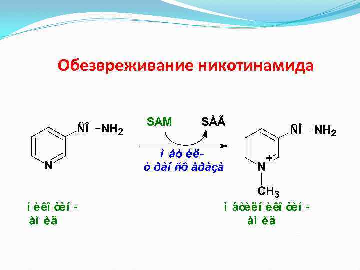 Обезвреживание никотинамида 