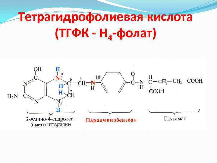 Тетрагидрофолиевая кислота (ТГФК - Н 4 -фолат) 