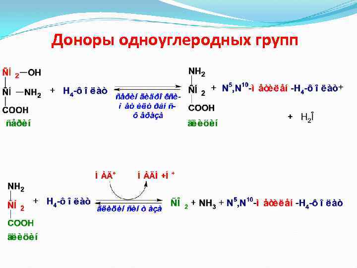 Доноры одноуглеродных групп 