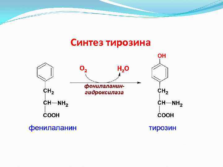 Тирозин фермент. Образование тирозина из фенилаланина реакция. Синтез фенилаланина. Синтез тирозина из фенилаланина. Синтез тирозина из фенилаланина реакция.