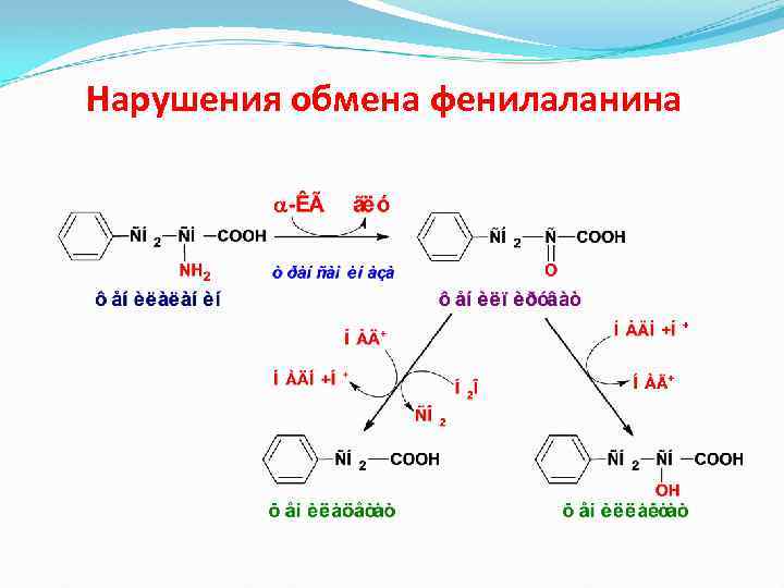 Нарушения обмена фенилаланина 