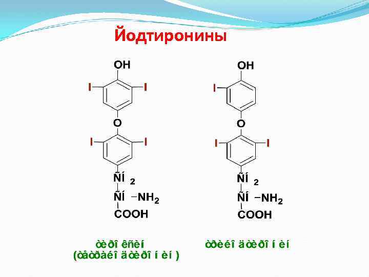Йодтиронины 