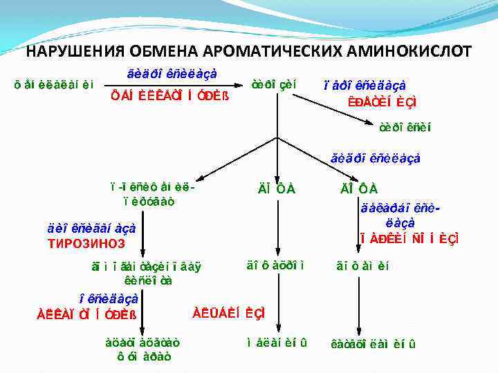 НАРУШЕНИЯ ОБМЕНА АРОМАТИЧЕСКИХ АМИНОКИСЛОТ ТИРОЗИНОЗ 