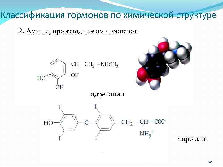 Адреналин презентация по биохимии