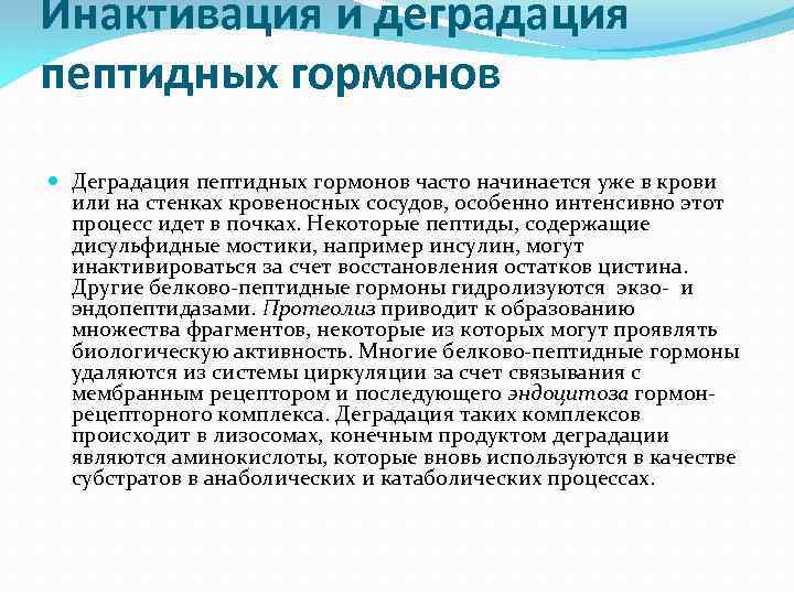 Инактивация и деградация пептидных гормонов Деградация пептидных гормонов часто начинается уже в крови или