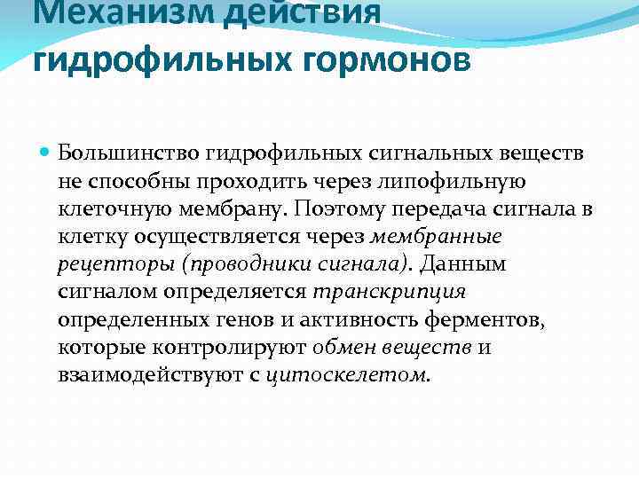 Механизм действия гидрофильных гормонов Большинство гидрофильных сигнальных веществ не способны проходить через липофильную клеточную