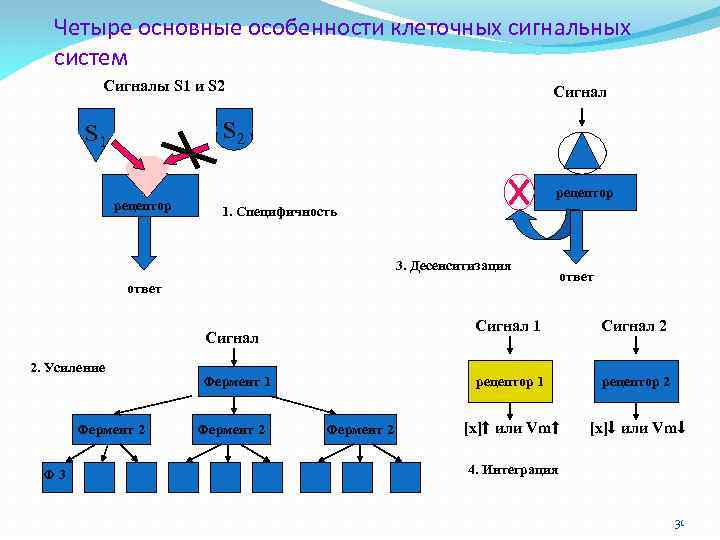 Четыре основные особенности клеточных сигнальных систем Сигналы S 1 и S 2 Сигнал S