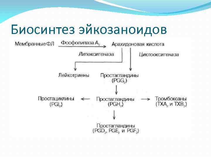 Синтез основ