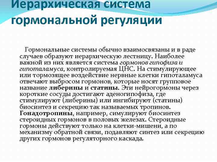 Иерархическая система гормональной регуляции Гормональные системы обычно взаимосвязаны и в раде случаев образуют иерархическую