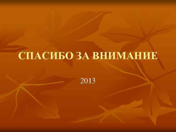 СПАСИБО ЗА ВНИМАНИЕ 2013 