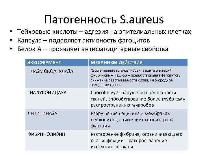 Патогенность S. aureus • Тейхоевые кислоты – адгезия на эпителиальных клетках • Капсула –