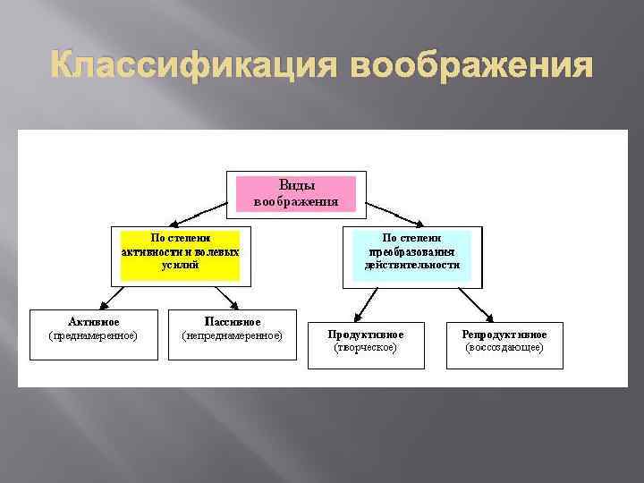 Виды воображения в психологии