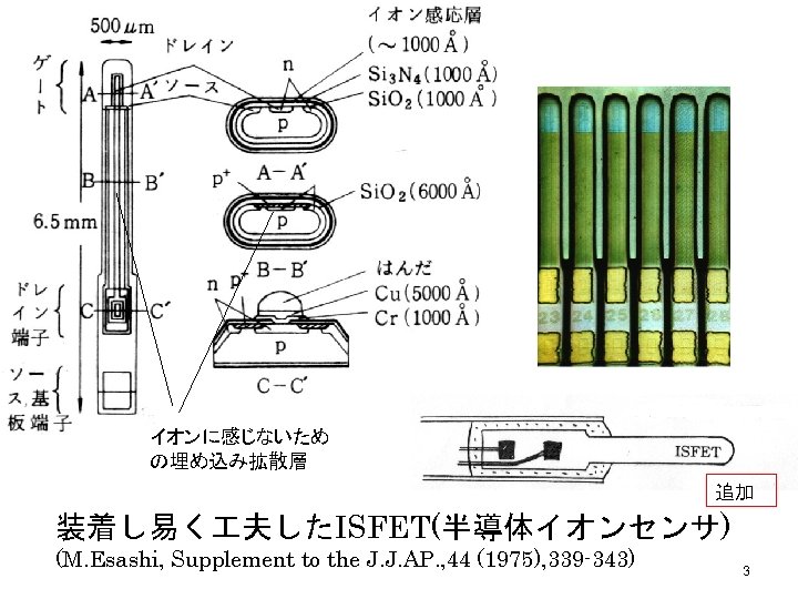 イオンに感じないため の埋め込み拡散層 追加 装着し易く 夫したISFET(半導体イオンセンサ) (M. Esashi, Supplement to the J. J. AP. ,