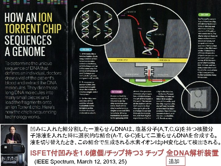 凹みに入れた細分割した一重らせんDNAは、塩基分子(A, T, C, G)を持つ核酸分 子溶液を入れた時に選択的な結合(A-T, G-C)をして二重らせんDNAを合成する。 液を切り替えたとき、この結合で生成される水素イオンはp. H変化として検出される。 ISFET付凹みを 1. 6億個/チップ持つ 3 チップ 全DNA解析装置