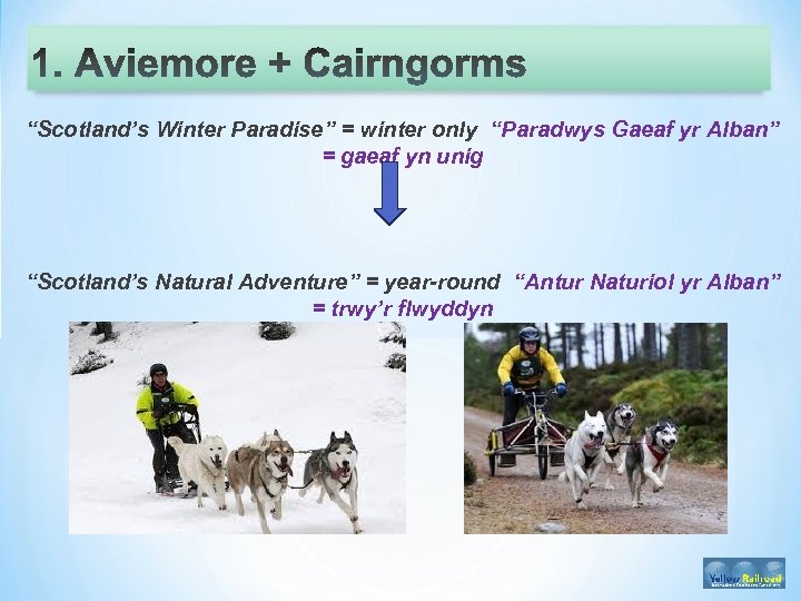 “Scotland’s Winter Paradise” = winter only “Paradwys Gaeaf yr Alban” = gaeaf yn unig