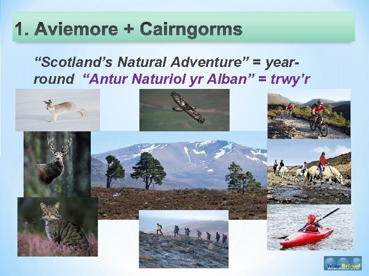 “Scotland’s Natural Adventure” = yearround “Antur Naturiol yr Alban” = trwy’r flwyddyn 