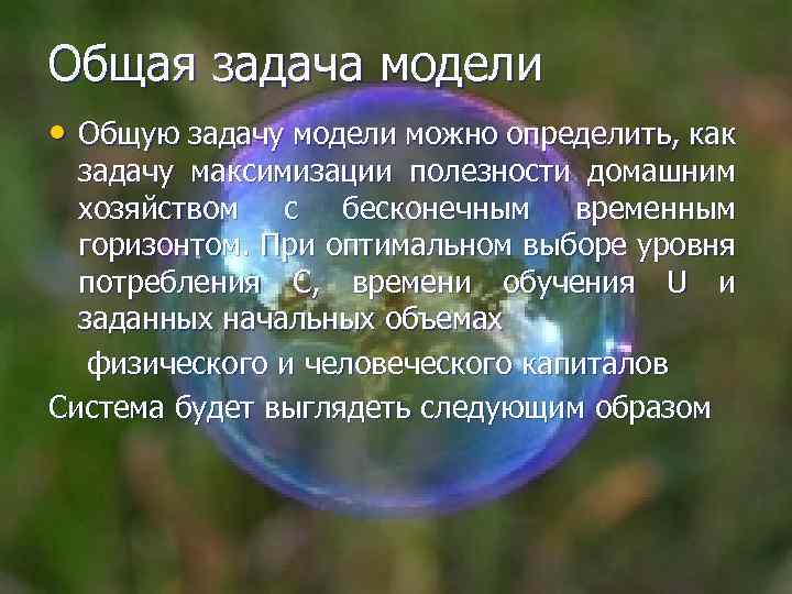 Общая задача модели • Общую задачу модели можно определить, как задачу максимизации полезности домашним