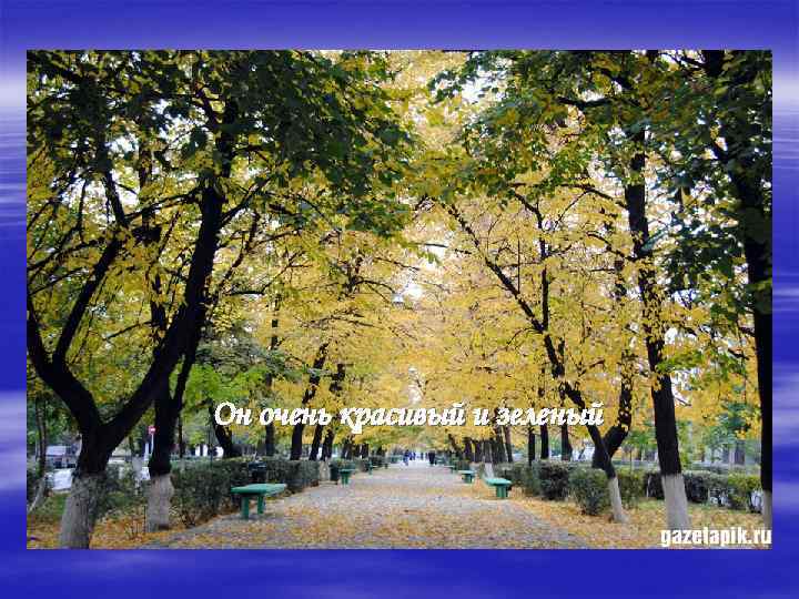 Он очень красивый и зеленый 