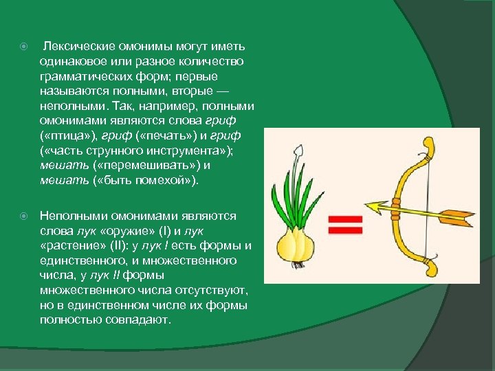  Лексические омонимы могут иметь одинаковое или разное количество грамматических форм; первые называются полными,