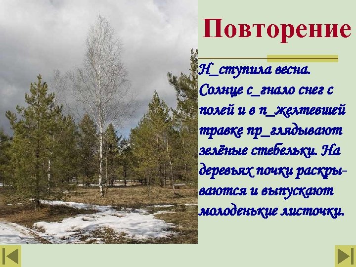 Повторение Н_ступила весна. Солнце с_гнало снег с полей и в п_желтевшей травке пр_глядывают зелёные