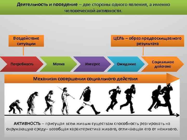 Социальная система действия. Механизм совершения социального действия. Структура социального действия. Схему совершения социального действия. Активность поведение деятельность.