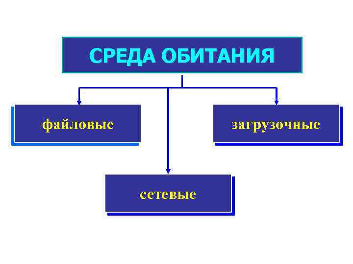 СРЕДА ОБИТАНИЯ файловые загрузочные сетевые 