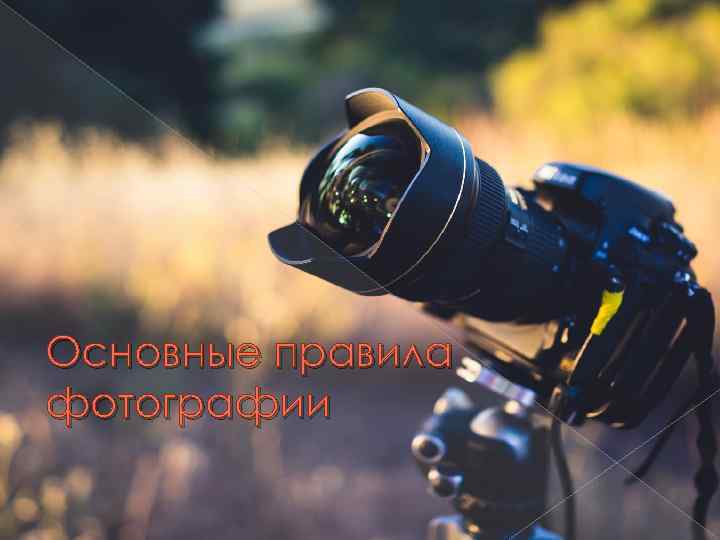 Основные правила фотографии 