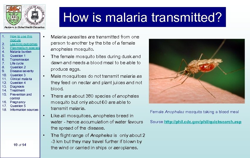 How is malaria transmitted? Partners in Global Health Education 1. 2. 3. 4. 5.