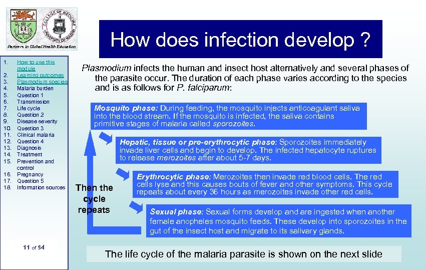 Partners in Global Health Education 1. 2. 3. 4. 5. 6. 7. 8. 9.