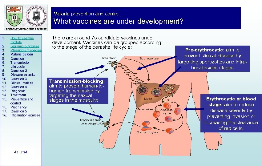 Malaria prevention and control What vaccines are under development? Partners in Global Health Education