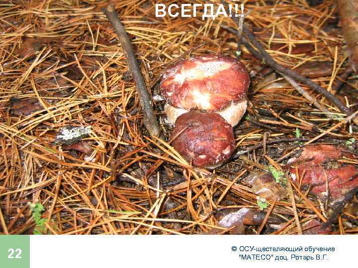 ВСЕГДА!!! 22 © ОСУ-ществляющий обучение 