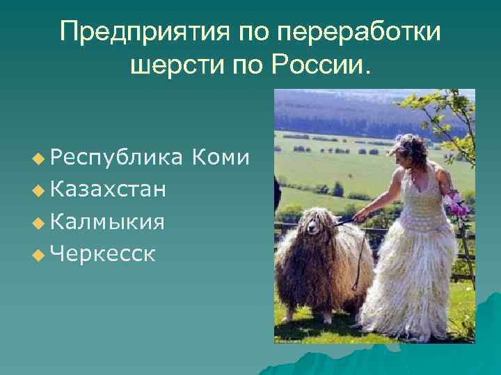 Предприятия по переработки шерсти по России. u Республика u Казахстан u Калмыкия u Черкесск