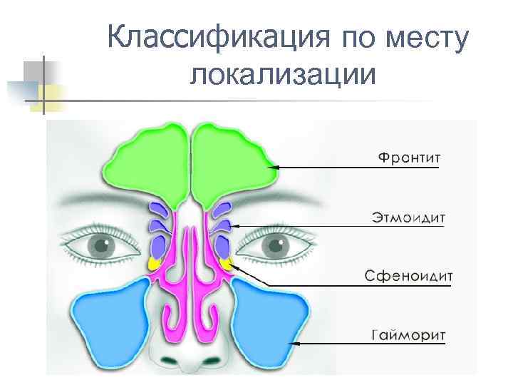  Классификация по месту локализации 