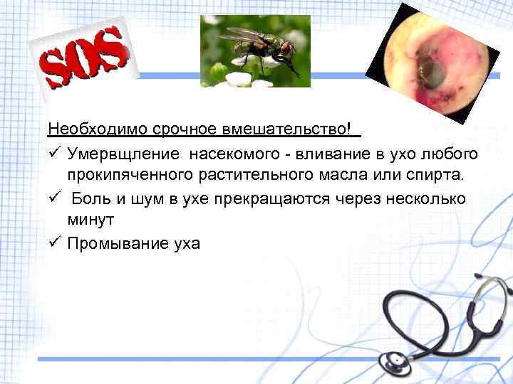 Необходимо срочное вмешательство! ü Умервщление насекомого - вливание в ухо любого прокипяченного растительного масла