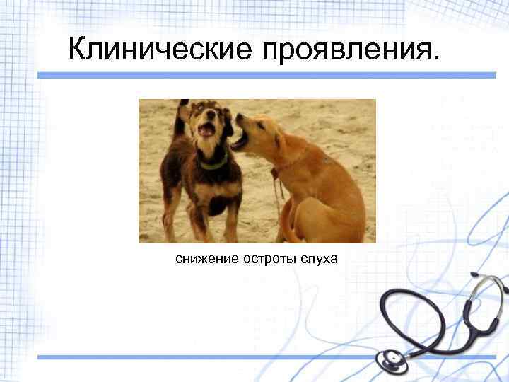 Клинические проявления. снижение остроты слуха 