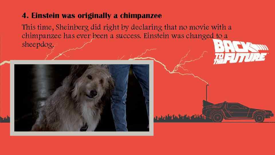 4. Einstein was originally a chimpanzee This time, Sheinberg did right by declaring that