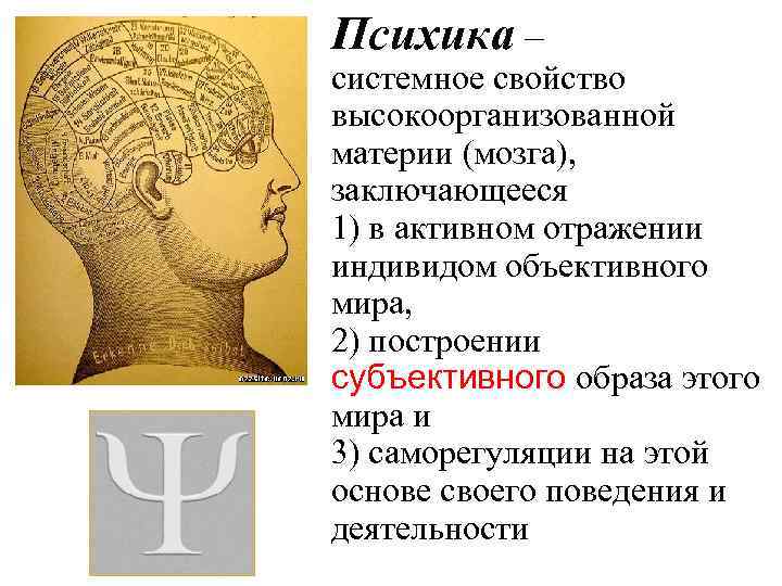 Психика – системное свойство высокоорганизованной материи (мозга), заключающееся 1) в активном отражении индивидом объективного