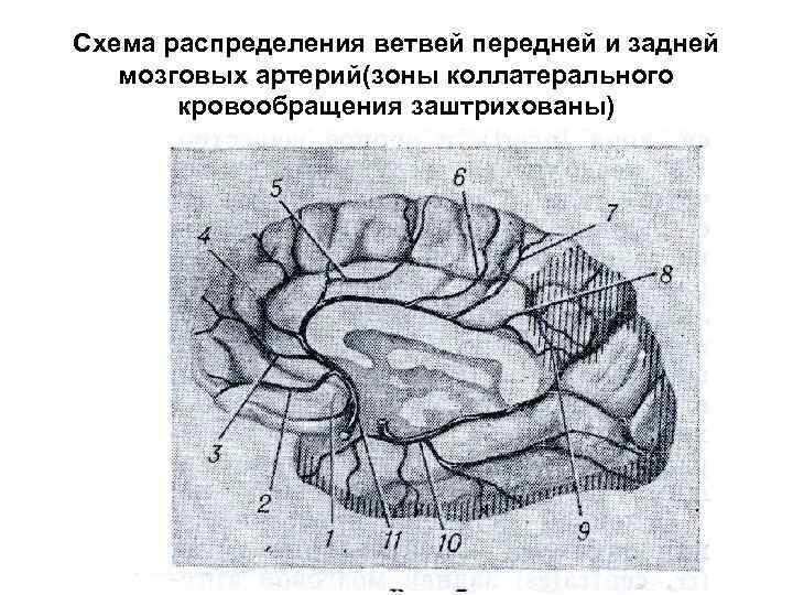 Явная центральная четырехточечная схема