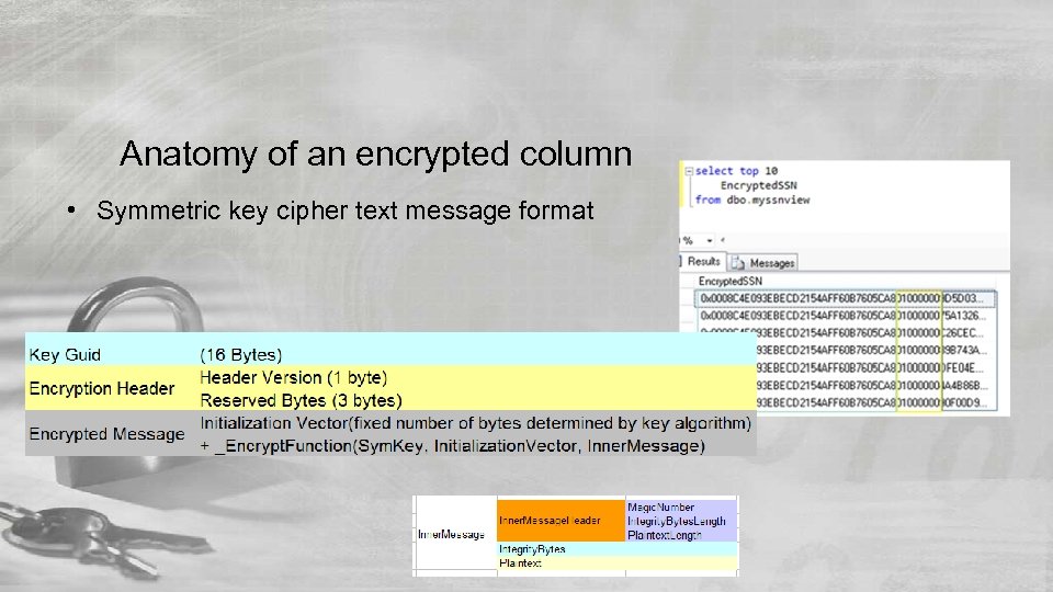 Anatomy of an encrypted column • Symmetric key cipher text message format 