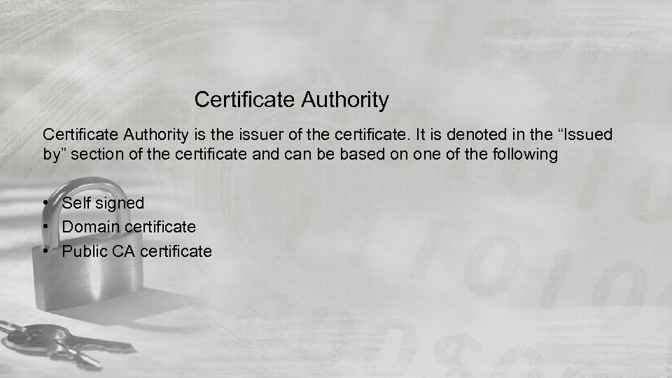 Certificate Authority is the issuer of the certificate. It is denoted in the “Issued