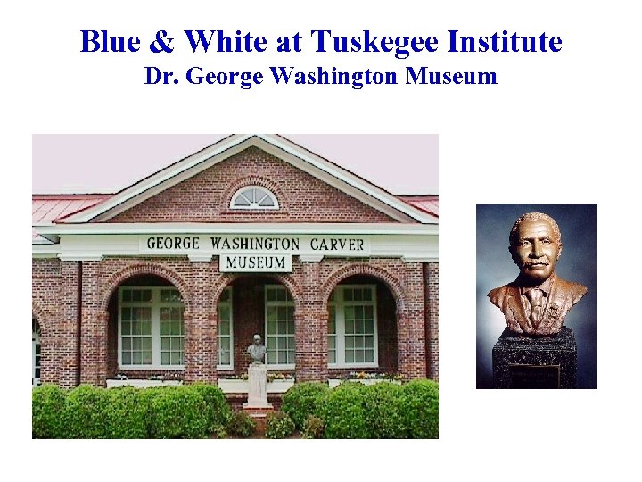 Blue & White at Tuskegee Institute Dr. George Washington Museum 
