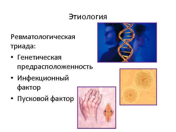 Этиология Ревматологическая триада: • Генетическая предрасположенность • Инфекционный фактор • Пусковой фактор 