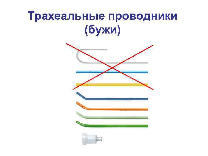 Трахеальные проводники (бужи) 