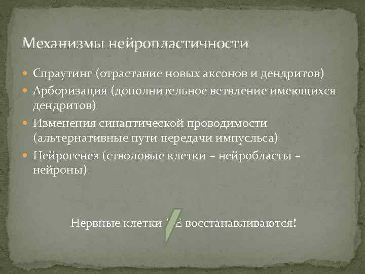 Механизмы нейропластичности Спраутинг (отрастание новых аксонов и дендритов) Арборизация (дополнительное ветвление имеющихся дендритов) Изменения