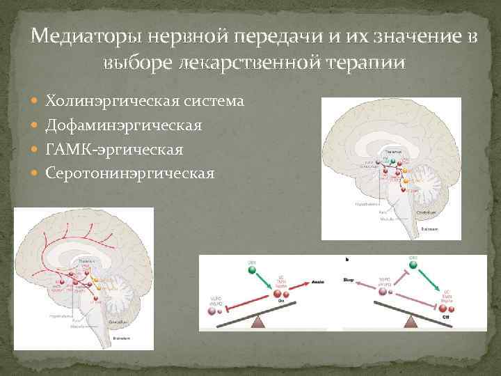 Медиаторы нервной передачи и их значение в выборе лекарственной терапии Холинэргическая система Дофаминэргическая ГАМК-эргическая