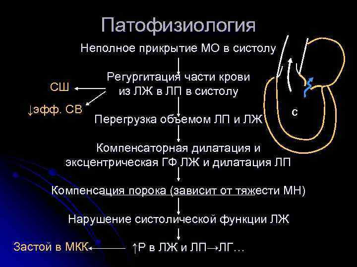 Патофизиология Неполное прикрытие МО в систолу СШ ↓эфф. СВ Регургитация части крови из ЛЖ