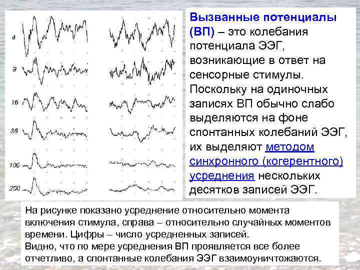 Вызванные потенциалы (ВП) – это колебания потенциала ЭЭГ, возникающие в ответ на сенсорные стимулы.